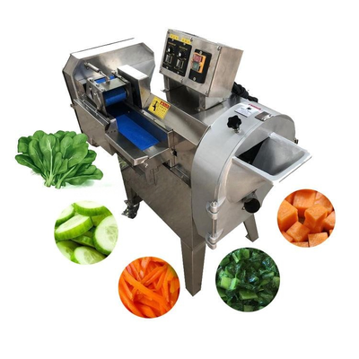 350 kg/h Przemysłowy wycinak warzyw wielofunkcyjny Przemysłowy wycinak warzyw